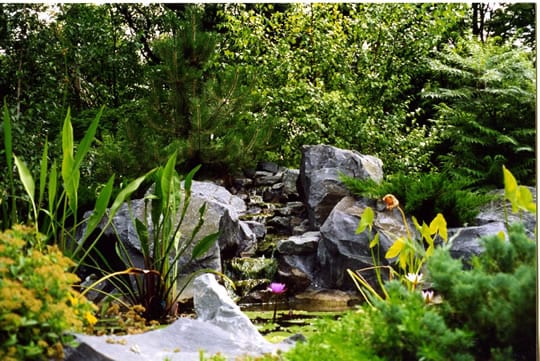 waterfall pond