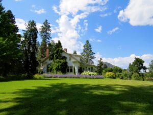 5 Expert Tips For A Lush And Healthy Lawn