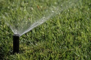 5 Expert Tips For A Lush And Healthy Lawn