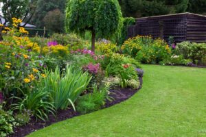 Pollinator Garden Landscape