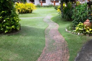 dog-friendly landscape