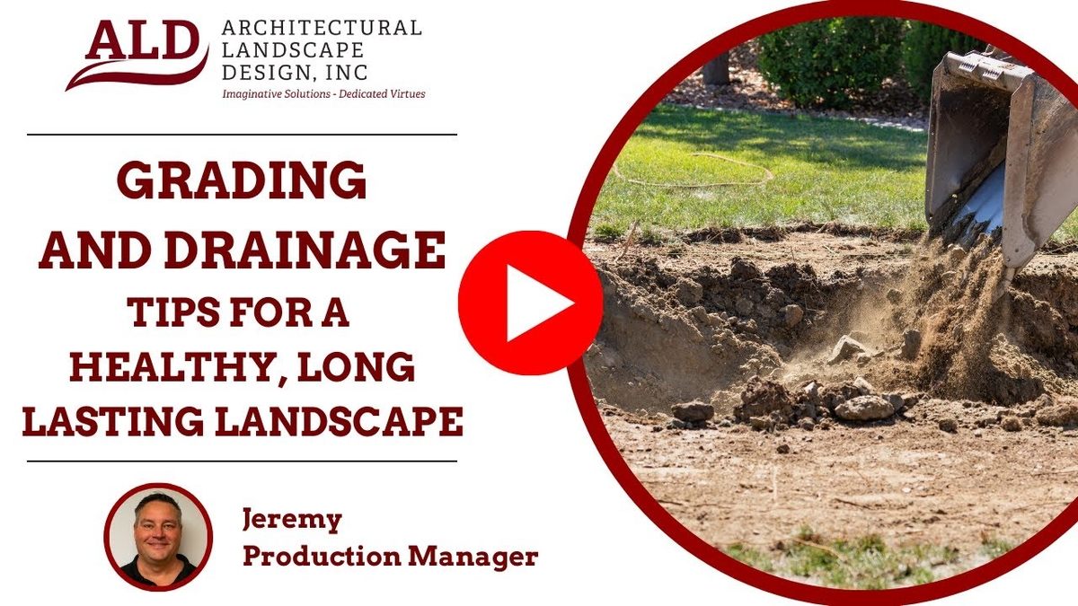 Grading and Drainage Tips for a Healthy, Long-Lasting Landscape