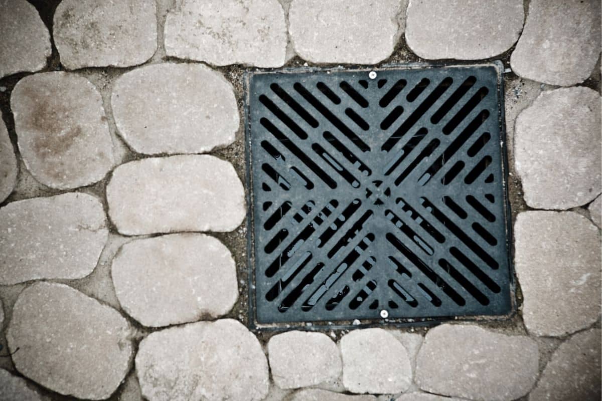 Dry Well Drain vs. French Drain: Which Is Right for Your Yard?