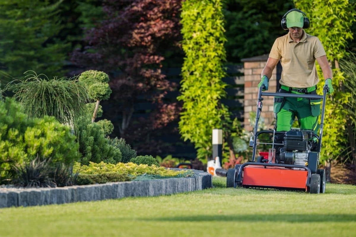Finding Lawn Leveling Near Me: What to Expect from the Process