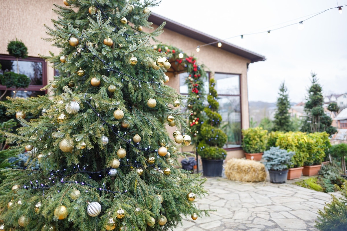 Outdoor Holiday Lighting Installation Costs in Minnesota