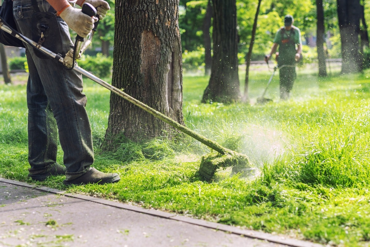 What’s Included in ALD’s Landscape Maintenance Services?