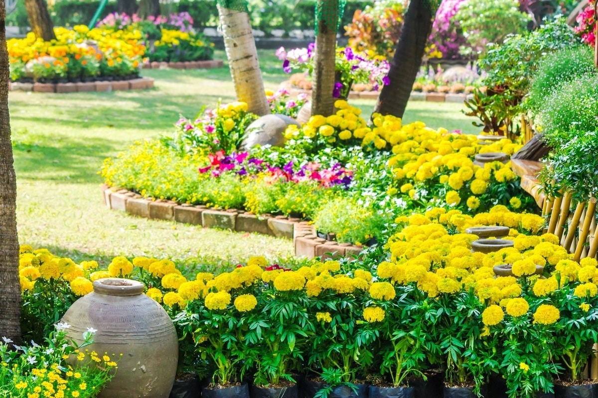 Designing Outdoor Living Spaces That Work in All Seasons